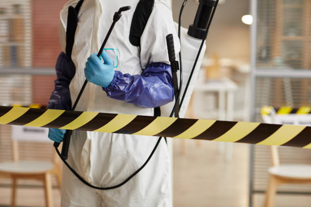 Professional Sewage Cleanup technician working in Westport, WA